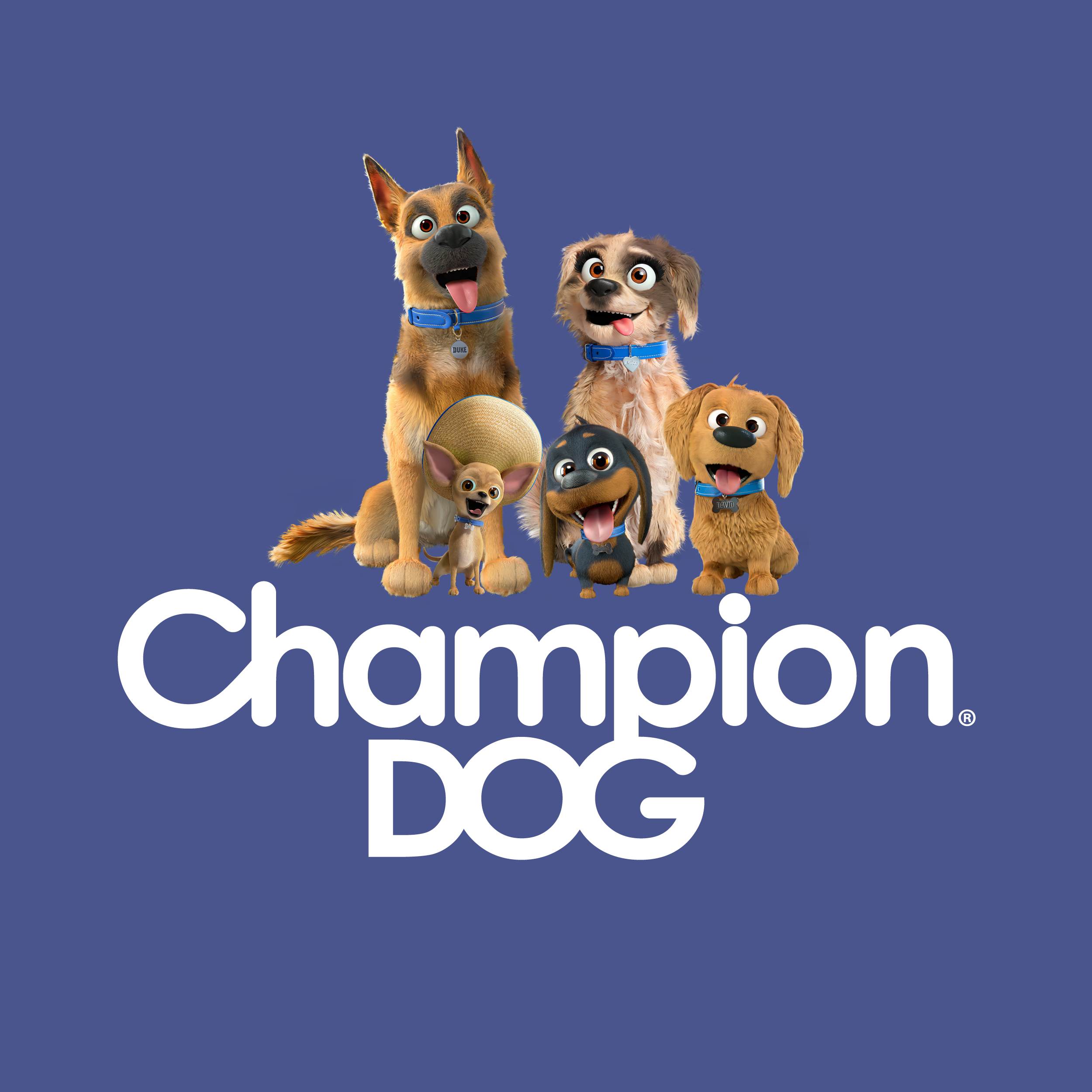 Champion Dog