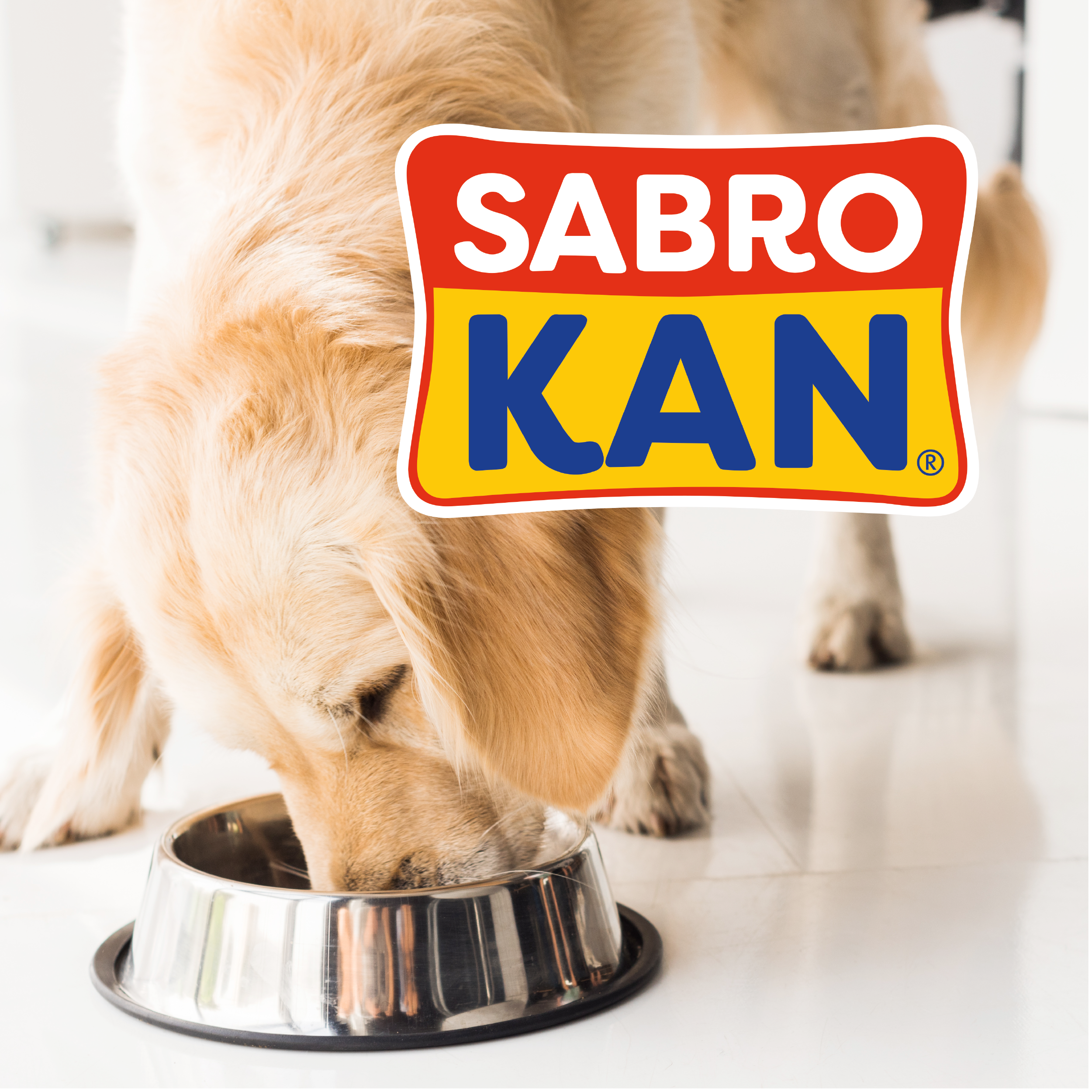 Sabro Kan