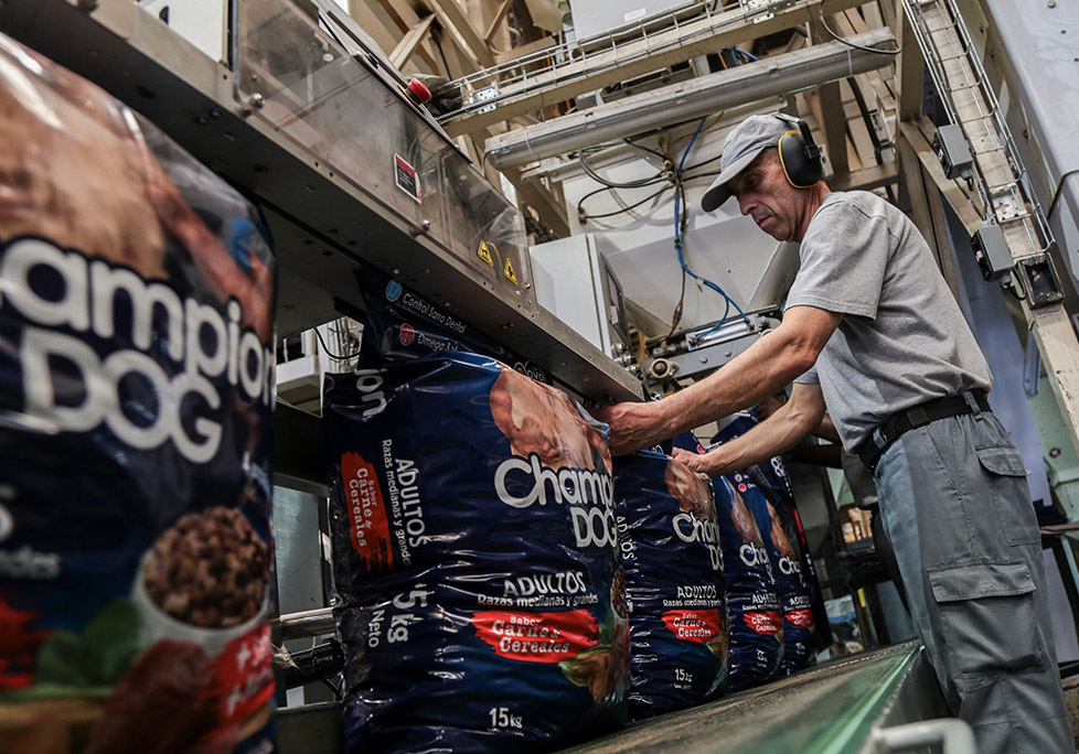 Trabajador Champion Dog