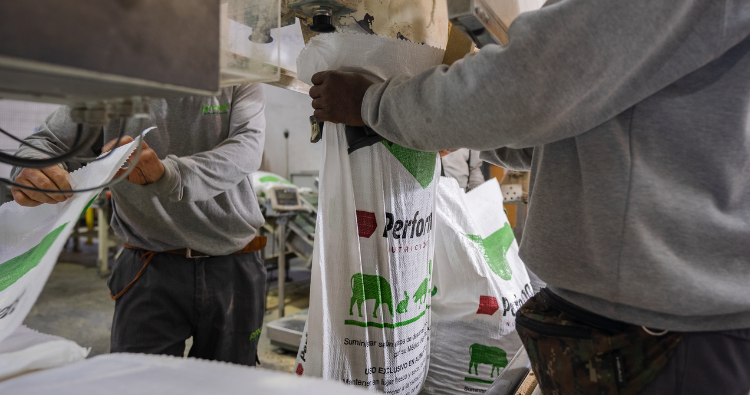 D&iacute;a del Caballo: comprometidos con su bienestar y nutrici&oacute;n