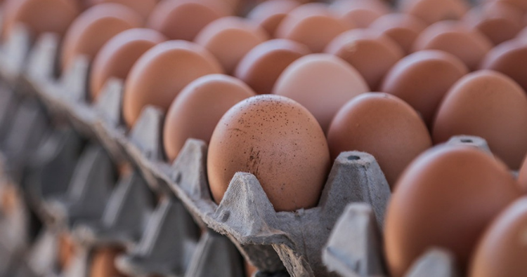 Av&iacute;colas de Grupo Proa logran calificaci&oacute;n A en auditor&iacute;as de Aramark