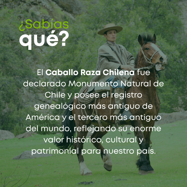 grupo de personas