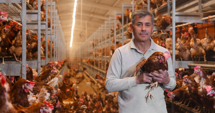 Bienestar animal: un compromiso que impulsa el cuidado, la calidad y la producci&oacute;n sostenible 