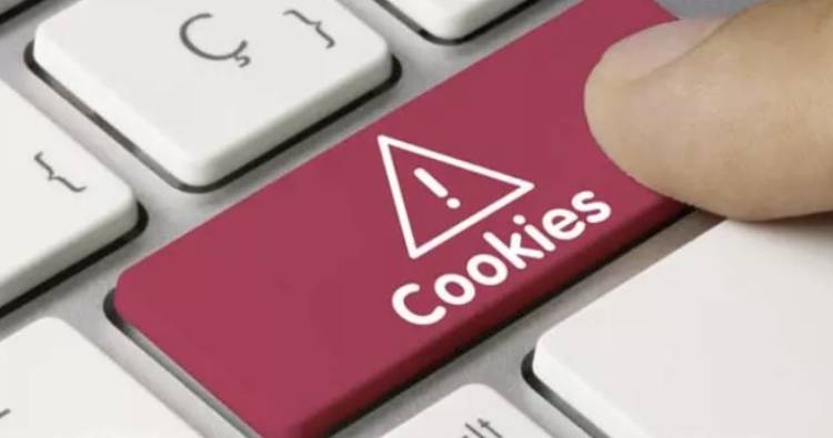 &iquest;Pueden las cookies afectar la privacidad en internet?